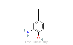 CAS:1199-46-8_2-氨基-4-叔丁基酚的分子结构