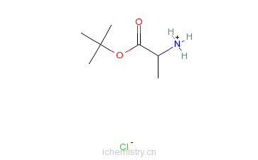 CAS:13404-22-3_L-丙氨酸叔丁酯盐酸盐的分子结构