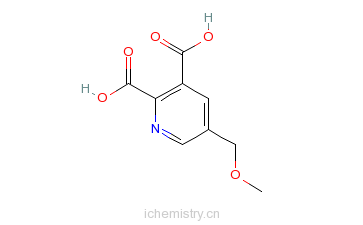 CAS:143382-03-0_5-甲氧基甲基-2,3-吡啶二羧酸的分子结构