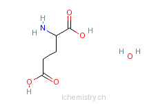 CAS:19285-83-7_DL-谷氨酸水合物的分子结构
