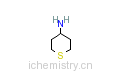 CAS:21926-00-1_四氢噻喃-4-胺的分子结构