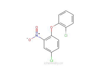 CAS:22544-02-1_2',4-二氯-2-硝基二苯醚的分子结构