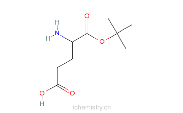 CAS:25456-76-2_D-谷氨酸叔丁酯的分子结构