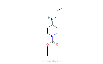 CAS:301225-58-1_1-N-Boc-4-वķӽṹ