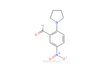 CAS:30742-59-7_5-硝基-2-(1-吡咯烷基)苯甲醛的分子结构