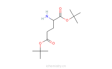 CAS:32677-01-3_L-谷氨酸二叔丁酯盐酸盐的分子结构