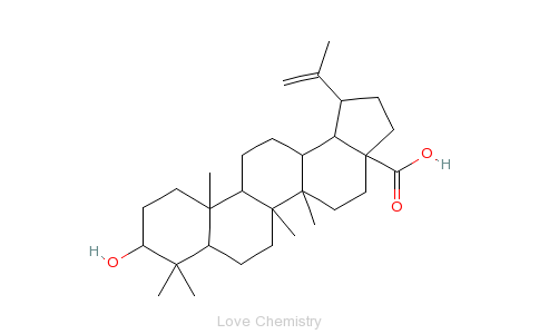 CAS:472-15-1_白桦脂酸的分子结构