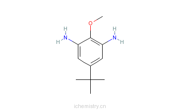 CAS:473269-70-4_4-叔丁基-2,6-二氨基苯甲醚的分子结构