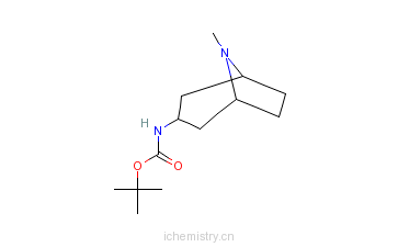 CAS:744183-20-8_N-Boc-exo-3-氨基托烷的分子结构