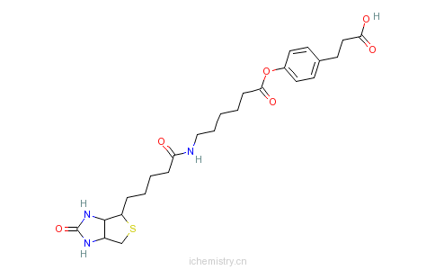 CAS:83592-10-3_3-(4-(N-生物素-6-氨基己羧基)苯基)丙酸的分子结构