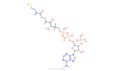 CAS:85-61-0_辅酶A的分子结构