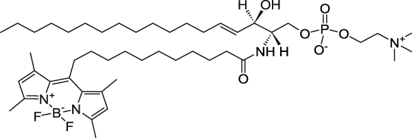 CAS:886209-09-2_N-[11-(dipyrrometheneboron difluoride)undecanoyl]-D-erythro-sphingosylphosphorylcholineķӽṹ