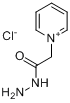 CAS:1126-58-5_氯化乙酰肼吡啶的分子结构
