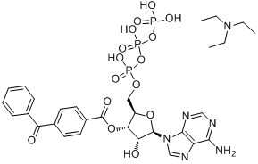 CAS:112898-15-4的分子结构