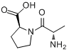 CAS:13485-59-1_L-丙氨酰-L-脯氨酸的分子结构