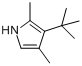 CAS:151464-91-4_2,4-二甲基-3-叔丁基吡咯的分子结构