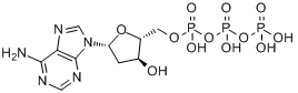 CAS:1927-31-7_2'-脱氧腺苷5'-三磷酸酯的分子结构