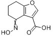 CAS:203636-45-7的分子结构