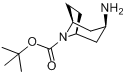 CAS:207405-68-3_N-Boc-内-3-氨基托烷的分子结构