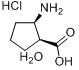 CAS:212755-84-5_CIS-2-AMINO-1-CYCLOPENTANECARBOXYLIC ACID HYDROCHLORIDE HEMIHYDRATEķӽṹ