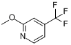 CAS:219715-34-1_2-甲氧基-4-三氟甲基吡啶的分子结构