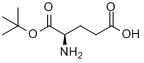 CAS:25456-76-2_D-谷氨酸叔丁酯的分子结构