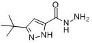 CAS:262292-02-4_3-(叔丁基)-1H-吡唑-5-甲酰肼的分子结构