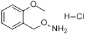CAS:317821-72-0分子结构
