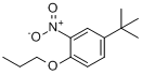 CAS:33353-60-5_对叔丁基邻硝基苯丙醚的分子结构