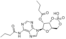 CAS:362-74-3_二丁酰环磷腺苷的分子结构