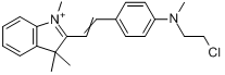 CAS:41261-03-4_2-[2-[4-[(2-氯乙基)甲氨基]苯]乙烯基]-1,3,3-三甲基-3H-吲哚翁的分子结构