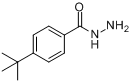 CAS:43100-38-5_对叔丁基苯甲酰肼的分子结构