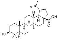 CAS:472-15-1_白桦脂酸的分子结构