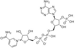 CAS:53-59-8_烟酰胺腺嘌呤双核苷酸磷酸盐的分子结构