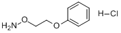 CAS:5397-72-8分子结构