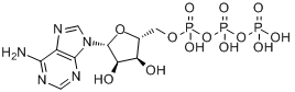 CAS:56-65-5_5'-三磷酸腺苷的分子结构
