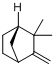 CAS:5794-04-7_2,2-二甲基-3-亚甲基二环[2.2.1]庚烷的分子结构