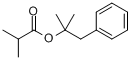 CAS:59354-71-1_异丁酸苯基叔丁酯的分子结构