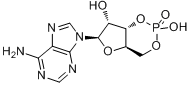 CAS:60-92-4_腺苷环磷酸酯的分子结构