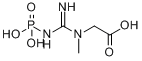 CAS:67-07-2_磷酸肌酸的分子结构