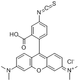 CAS:6749-36-6_四甲基若丹明B 异氰酸酯的分子结构