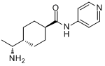 CAS:742043-06-7的分子结构