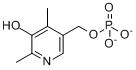 CAS:8059-24-3_维生素B6的分子结构