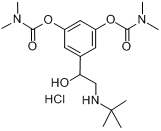 CAS:81732-46-9_盐酸班部特罗的分子结构