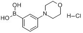 CAS:863248-20-8_3-吗啉苯硼酸盐酸盐的分子结构