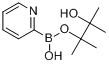 CAS:874186-98-8_2-吡啶硼酸频哪醇酯的分子结构