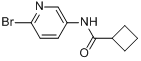 CAS:885267-03-8_N-(6-Bromo-3-pyridinyl)cyclobutanecarboxamideķӽṹ