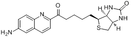 CAS:91853-89-3_生物素基-6-氨基喹啉的分子结构