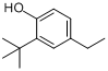 CAS:96-70-8_2-叔丁基-4-乙基苯酚的分子结构