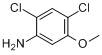CAS:98446-49-2_2,4-二氯-5-甲氧基苯胺的分子结构